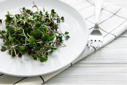 Microgreens for Anti-Aging: Nourish Your Body from the Inside Out