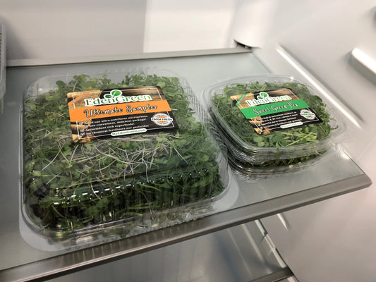 What’s the Best Way to Store Microgreens?