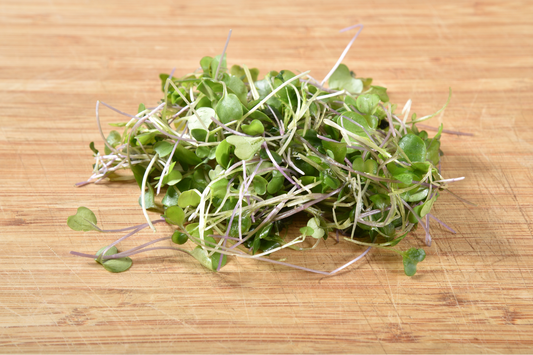 Can You Freeze Microgreens? What to Do With Extras
