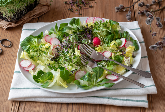 How Long Do Microgreens Stay Fresh?