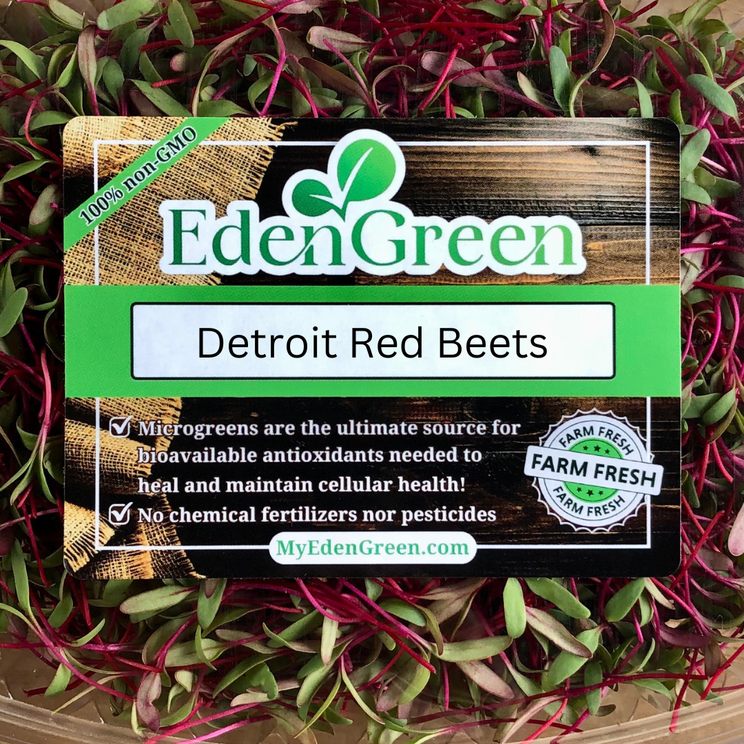 Detroit Red Beet